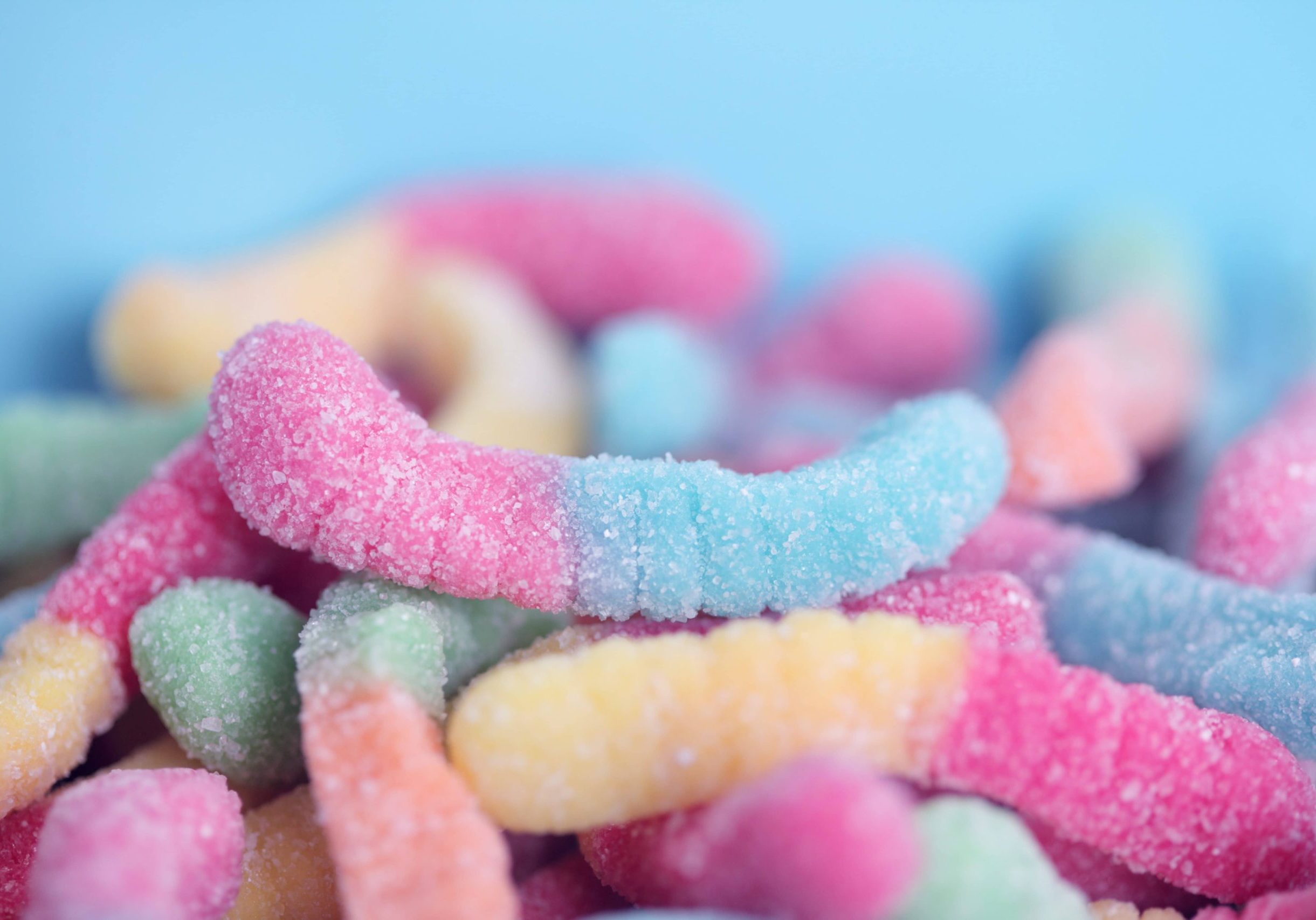 alexander-grey-SGI0i5sHCL8-unsplash alexander-grey-SGI0i5sHCL8-unsplash